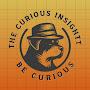 @TheCuriousInsightt
