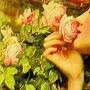 @Rosegarden327