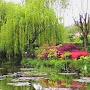 @wheepingwillow24u17