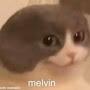 @melvin9888