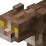 @Minecraft.Cat.Composer