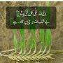 @ajmalyazdani3364