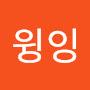 @카트윙잉