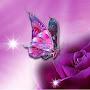 @SusanBlue-hb5qn