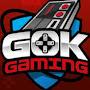 @gokgaming4100