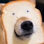 @DogBread