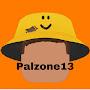 @palzone13gaming