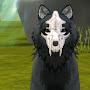 @thewildcarftqueenandwolfs