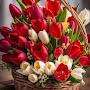 @sforde1883
