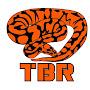 @tbrreptiles4779