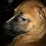 @dontwakethedeadp.jankey9592
