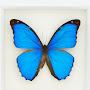 @Butterfly2024-q5j