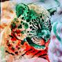 @alebrijeciclico5793