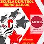 @hidrogallosescueladefutbol4167