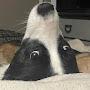 @Mydogsandnature122