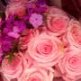 @Msflower1234-n8m