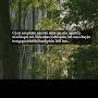 @mangtheonoibuonvabienmat8138