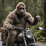 @supersasquatch