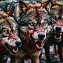 @ericwolfe666