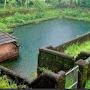 @reshmavijayan5679