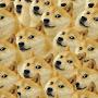 @DogeDELUX