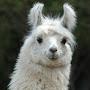 @anarcho-boulangistllamaent2023