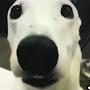 @NailsikkkkkkkkkkkkkSDDDDDDDD