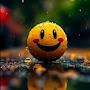 @Yash_Rathod_0106