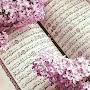 @KhansaKhalid146