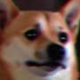 @Chihuaza