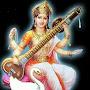 @marathiartistmedia412