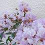 @亜希-y2q