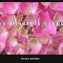 @FiveMinuteNature