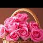@mjhashemi5352