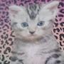 @kyleejeanblasio3516