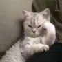@박박박디라라라