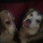 @vincentmiller.2558