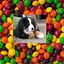 @skittledog