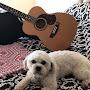 @Brianfarrellmusic
