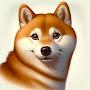 @steve-2shibas