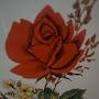 @numerstalk