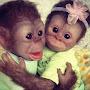@Monk_lunk13