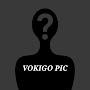 @vokigopic2012
