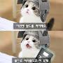 @세이엔-d1j