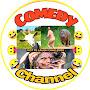 @ComedyChannel0