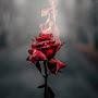 @neelamjagtap1309