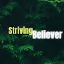 @StrugglingBeliever