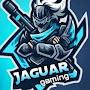 @jaguargaming3983