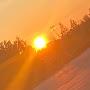 @mangoxx_blog592