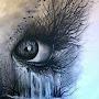 @80orka
